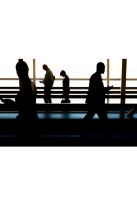 Accompagnement opérationnel CSE